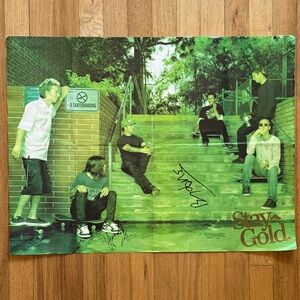 Emerica Vintage Stay Gold Poster